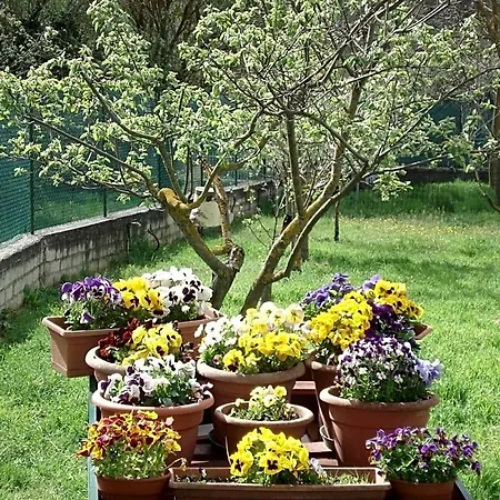 Bed & Breakfast Abruzzo Segreto Navelli