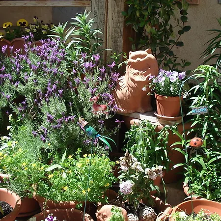 Abruzzo Segreto Navelli