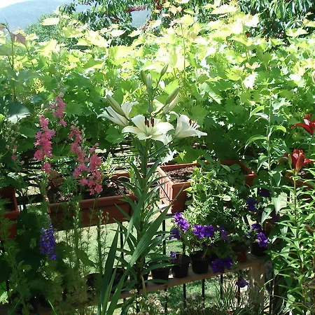 Bed & Breakfast Abruzzo Segreto 4*