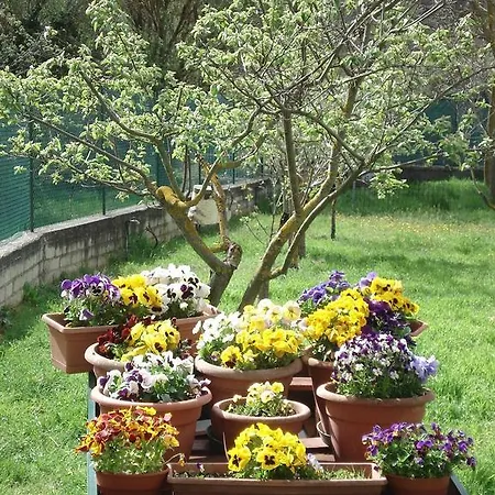 Nocleg ze śniadaniem Abruzzo Segreto