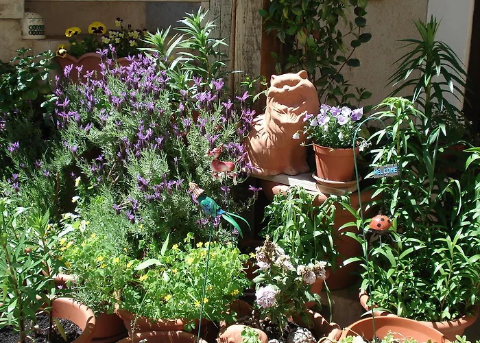 Abruzzo Segreto Navelli