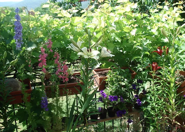 Bed & Breakfast Abruzzo Segreto 4*