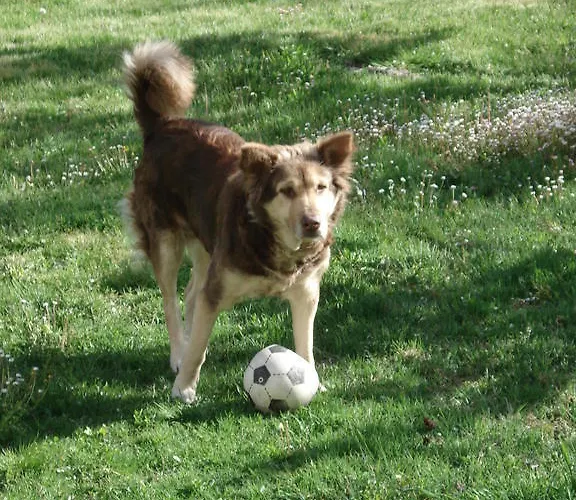 Abruzzo Segreto Navelli