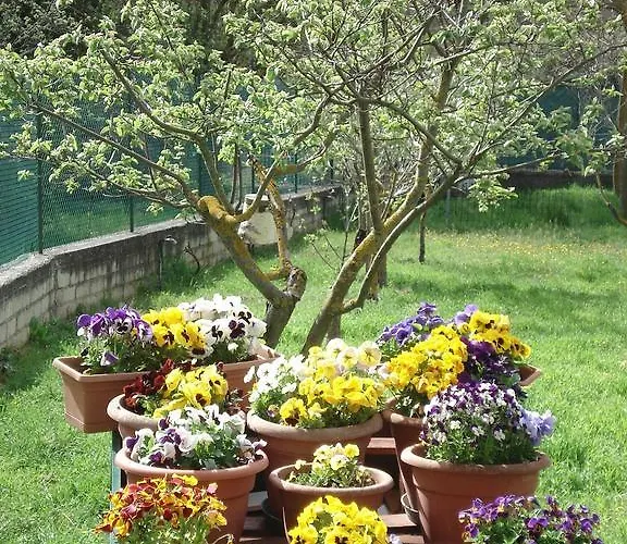 Frühstückspension Abruzzo Segreto